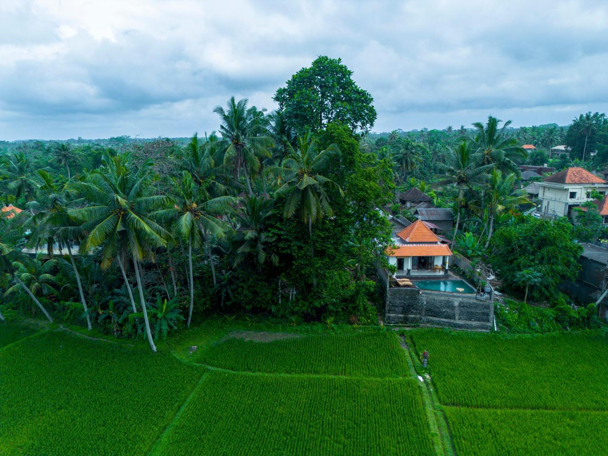 Jatining Ubud Villa & Spa Zewnętrze zdjęcie